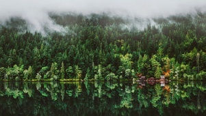 山间云雾