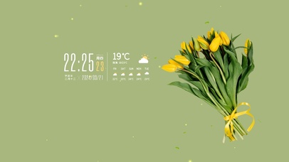 清新护眼郁金香桌面