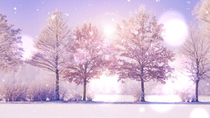 雪下得那么认真