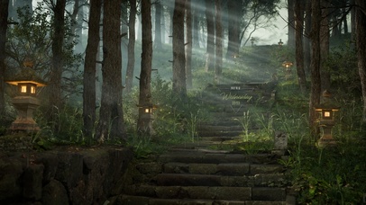 4K治愈护眼雨天森林