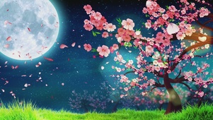 浪漫樱花系列（夜晚）