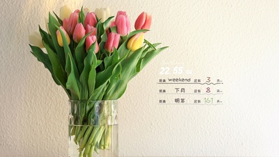 简约小清新桌面