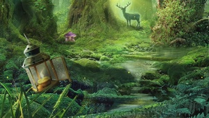 4K梦幻梦境中的森林