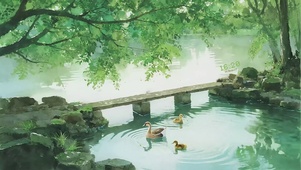治愈系：溪桥鸭群的夏日午后