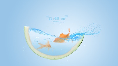 夏日金鱼水西瓜