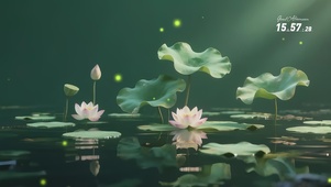 清新荷花