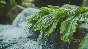流水生财
