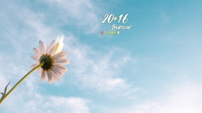 4k高清简约小清新系列