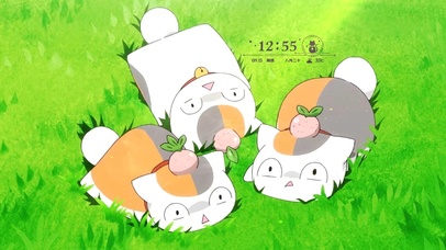 治愈可爱猫咪老师