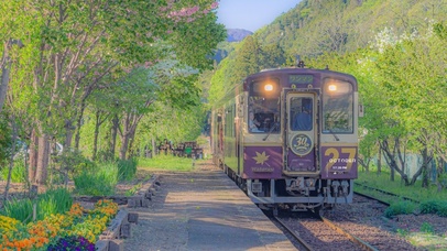 唯美治愈樱花列车(带真实时间)