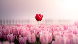 唯美爱情鲜花