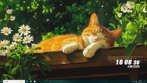 猫咪桌面主题