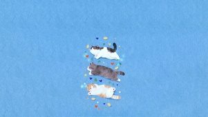 一起玩耍的小猫～可爱～