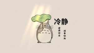 冷静励志龙猫