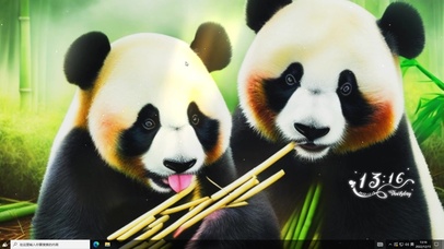 可爱熊猫  主题版