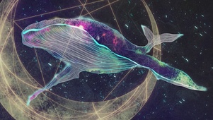 海洋宇宙鲸鱼