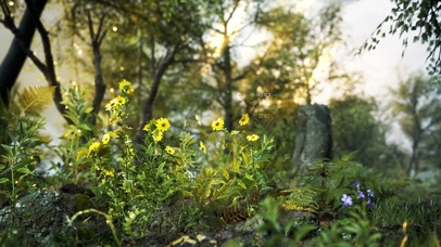 唯美午后阳光小雏菊