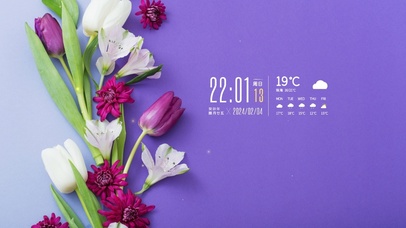 4k简约郁金香桌面