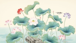 小清新荷花