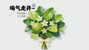 驱散晦气柚子叶