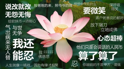 4K打工人简约卡通文字荷花壁纸