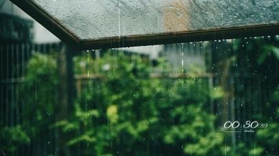 深夏雨 风景动态壁纸 动态壁纸下载 元气壁纸