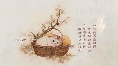 花篮中的猫咪