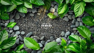 绿叶鹅卵石