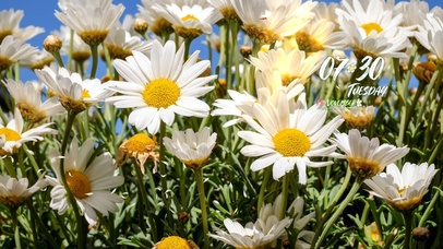 4k高清治愈风景系列