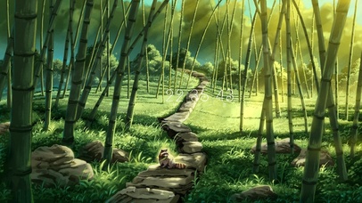 治愈护眼竹林小路的浣熊