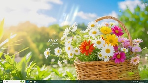 治愈阳光雏菊