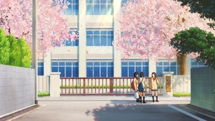 唯美樱花学校街道