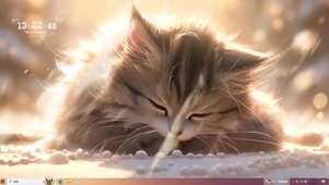 狸花猫