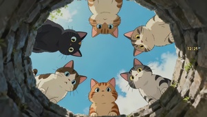 好奇井口猫咪
