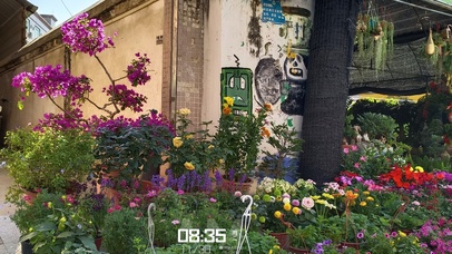 生活里不经意的角落就是人间温柔