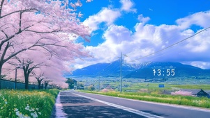 4K樱花公路