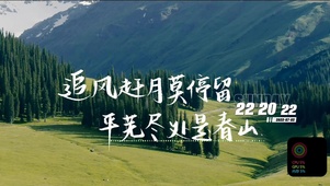 追风赶月