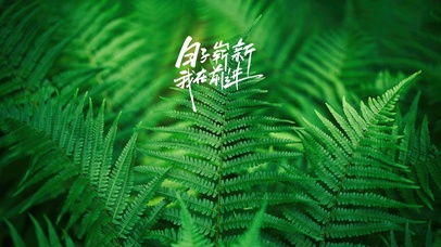 日子崭新~我在前进