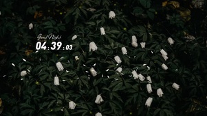 4k唯美花桌面
