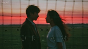 被风割裂的黄昏恋歌