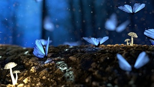 幻梦