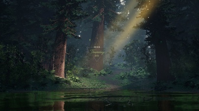 4K 唯美治愈湖边森林