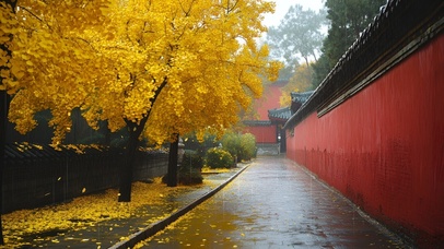 雨落金叶映古巷
