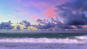 紫色海洋