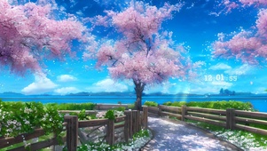4k蓝天樱花树小路