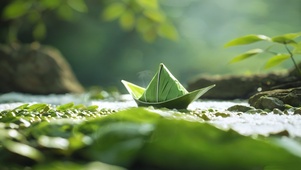 小粽子