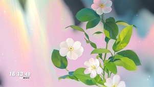 4K 悠然小花