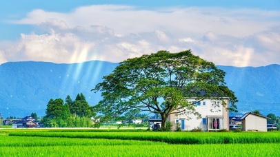 4K唯美治愈护眼村庄