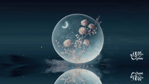 镜花水月