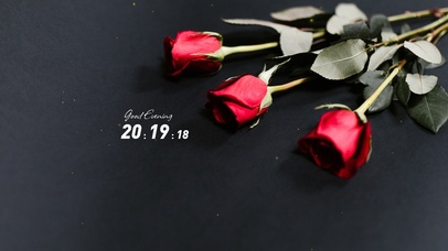 4k简约玫瑰花桌面壁纸